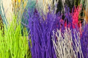 MIN RUNGIS-Fleurs-70